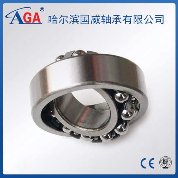 2200 Self-aligning ball bearing