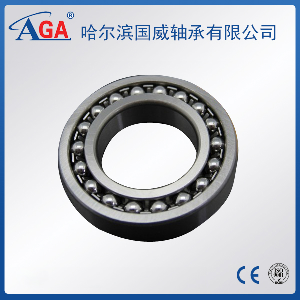 1200 Self-aligning ball bearing