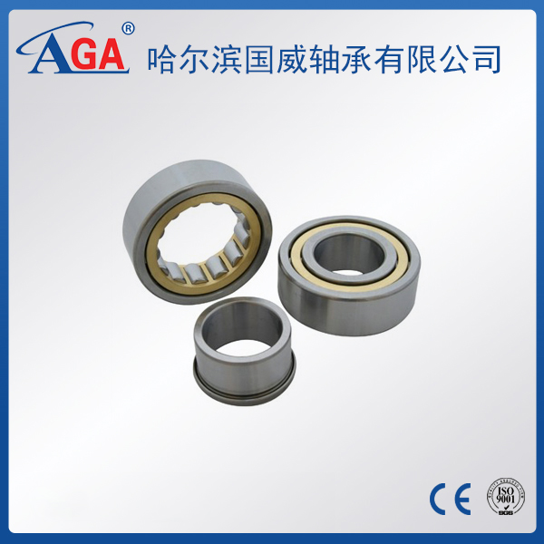 NJ300 cylindrical roller bearing