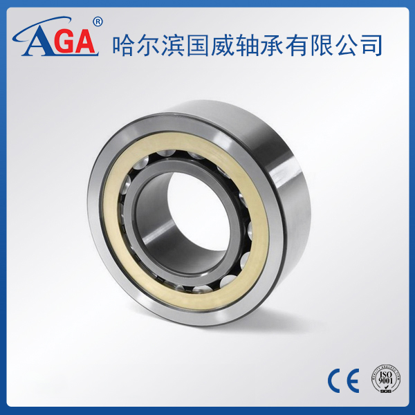 NJ200 cylindrical roller bearing